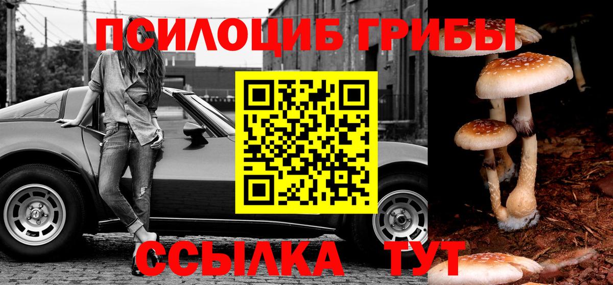 Галлюциногенные грибы прущие грибы Чебаркуль